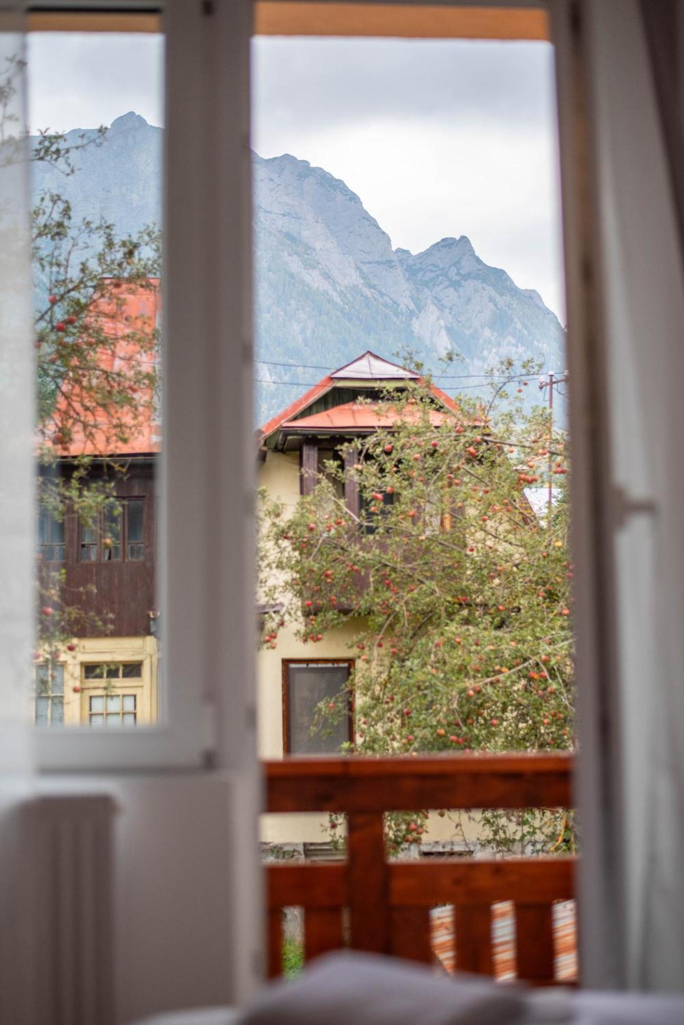 Casa Bucegi Busteni Exterior photo